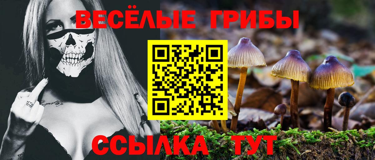 Галлюциногенные грибы GOLDEN TEACHER  купить наркотик  Нарткала  Вход с VPN 