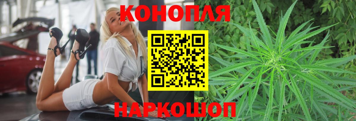 Бошки марихуана индика  Вход с VPN  МАРИХУАНА Amnesia  Бошки Шишки Bruce Banner  Канабис Bruce Banner  Нарткала 